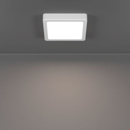 Eglo - LED vonios kambario lubinis šviestuvas LED/7W/230V 15x15 cm IP44 balta