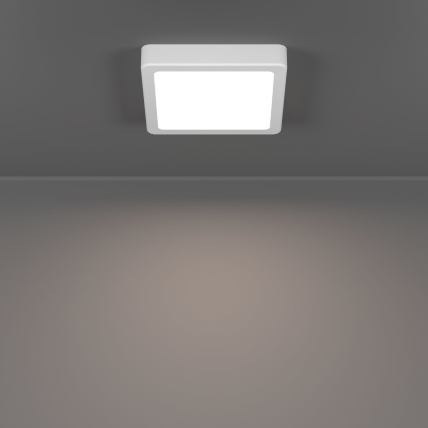 Eglo - LED vonios kambario lubinis šviestuvas LED/7W/230V 15x15 cm IP44 balta