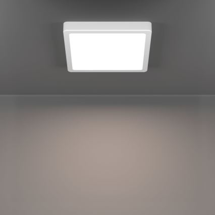 Eglo - LED vonios kambario lubinis šviestuvas LED/10,5W/230V 2700/4000/6500K 22x22 cm IP44 balta