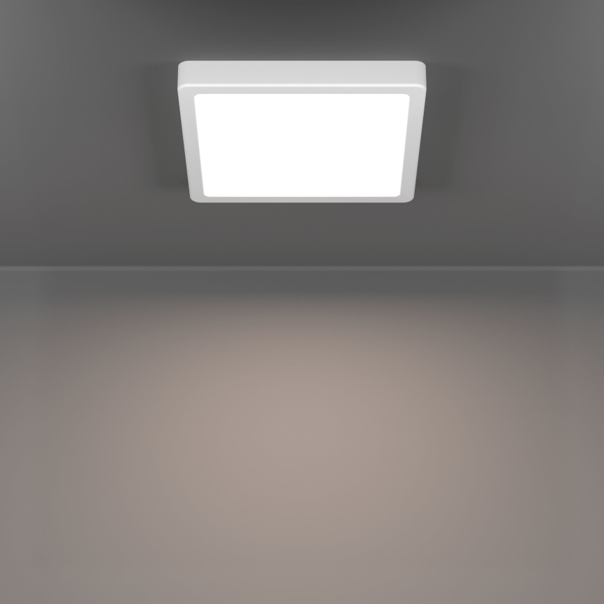 Eglo - LED lubų šviestuvas voniai, 10,5 W, 230 V, 22x22 cm, IP44, baltas