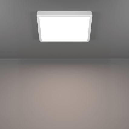 Eglo - LED vonios lubinis šviestuvas LED/13W/230V 29x29 cm IP44 baltas