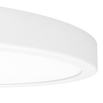 Eglo - LED RGBW dimeriuojamas vonios kambario lubinis šviestuvas LED/14,3W/230V 2700-6500K skers. 27,8 cm IP44 balta