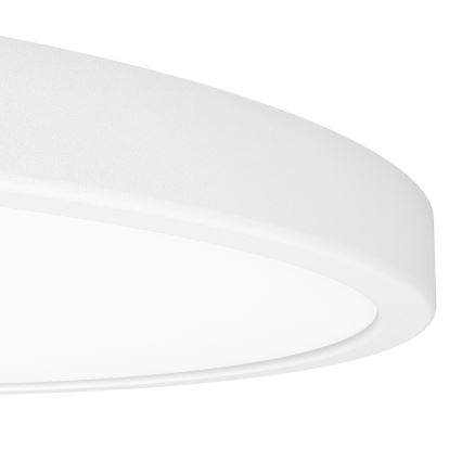 Eglo - LED RGBW dimeriuojamas lubinis vonios šviestuvas LED/17,5W/230V 2700-6500K skersmuo 39,9 cm IP44 baltas