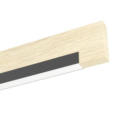Eglo - LED Pritemdomas lubinis šviestuvas 2xLED/10W/230V 3000K juoda/smėlio spalva