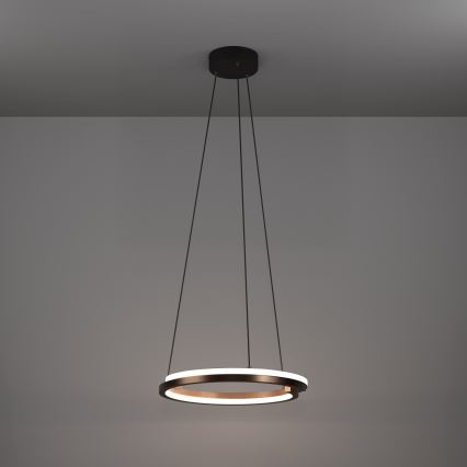 Eglo - dimeriuojamas LED pakabinamas šviestuvas ant laido, 2xLED/20W/230V, 2700-6500K, skersmuo 48 cm, bronzinis, su nuotoliniu pultu