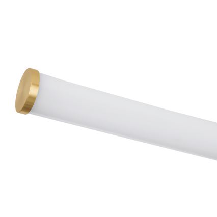 Eglo - LED vonios veidrodžio šviestuvas LED/11W/230V 3000/4000/6500K 60 cm IP44 auksinis