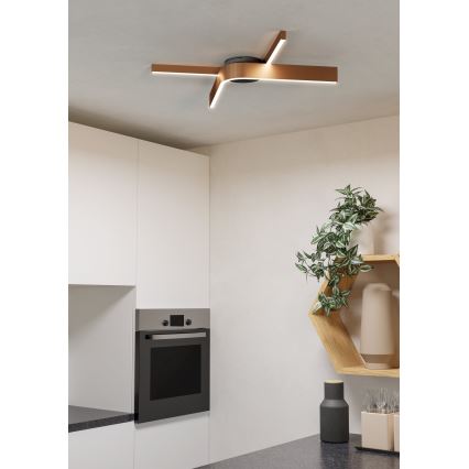 Eglo - LED RGBW dimeriuojamas lubinis šviestuvas 2xLED/18W/230V varinis/juodas