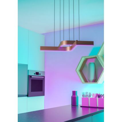 Eglo - LED RGBW reguliuojamas pakabinamas šviestuvas ant laido 2xLED/18W/230V varinis/juodas