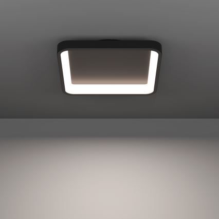 Eglo - LED RGBW reguliuojamas lubinis šviestuvas LED/20W/230V 2700-6500K 35x35 cm juodas