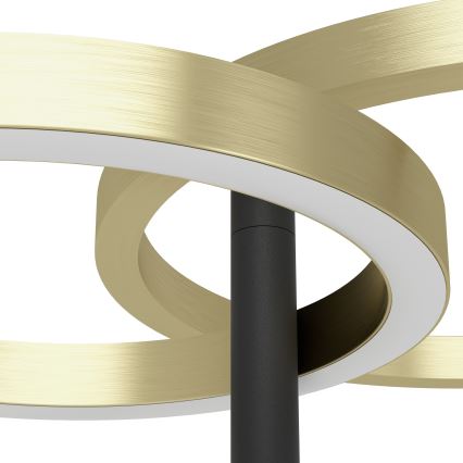 Eglo - reguliuojama LED grindinė lempa LED/16W/230V + LED/12W auksinė/juoda