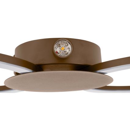 Eglo - LED sieninis šviestuvas LED/20W/230V + LED/0,91W smėlio spalvos