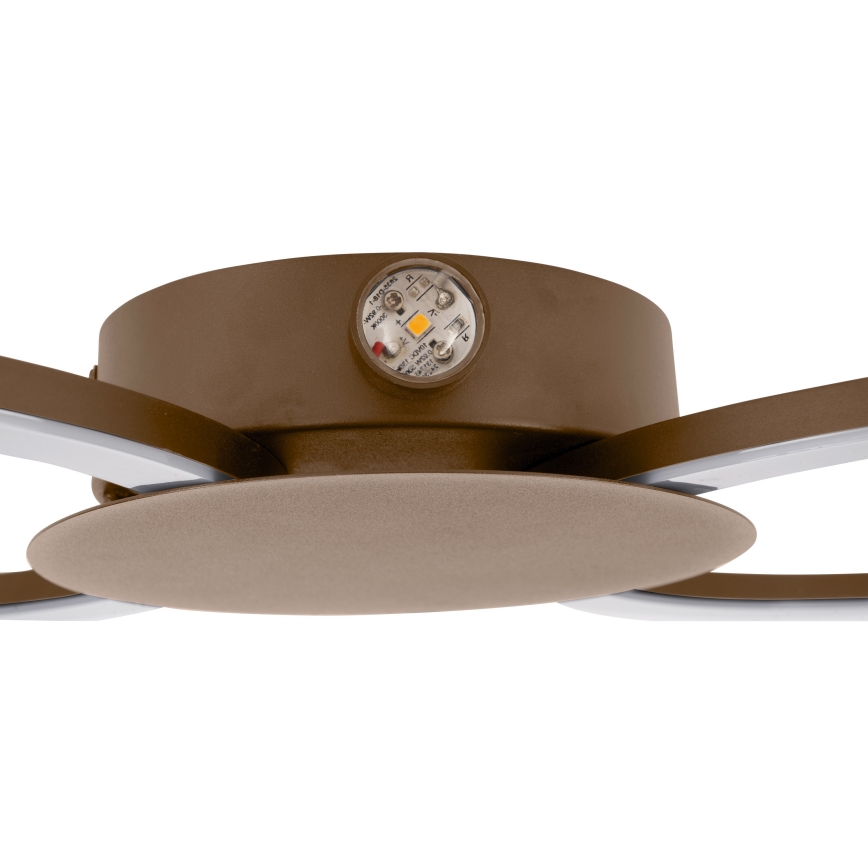 Eglo - LED sieninis šviestuvas LED/20W/230V + LED/0,91W smėlio spalvos