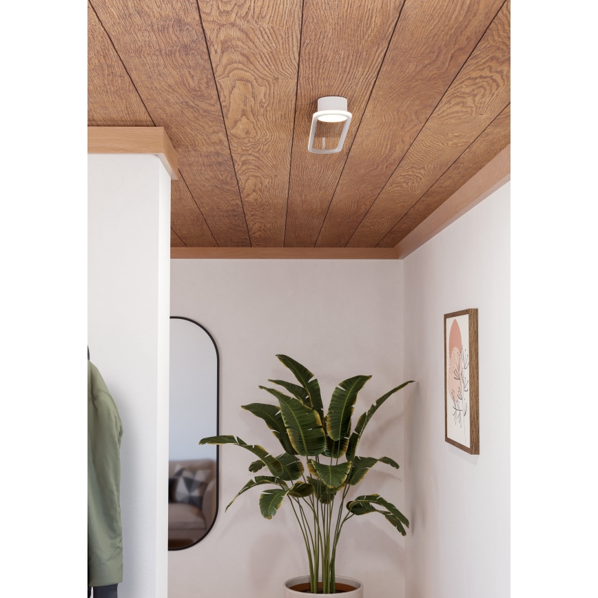 Eglo - LED lubinis šviestuvas LED/24W/230V 2700/4000/6500K baltas