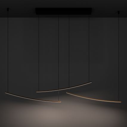 Eglo - dimeriuojama LED liustra ant laido LED/22W/230V 2700/4000/6500K auksinė
