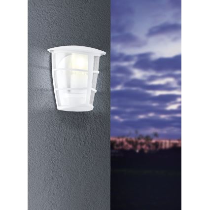 Eglo - Sieninis LED lauko šviestuvas 1xE27/8,5W/230V IP44