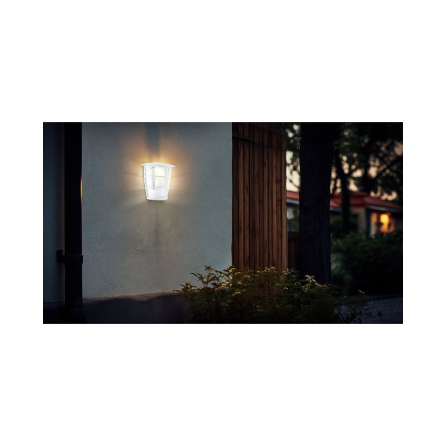 Eglo - Sieninis LED lauko šviestuvas 1xE27/8,5W/230V IP44