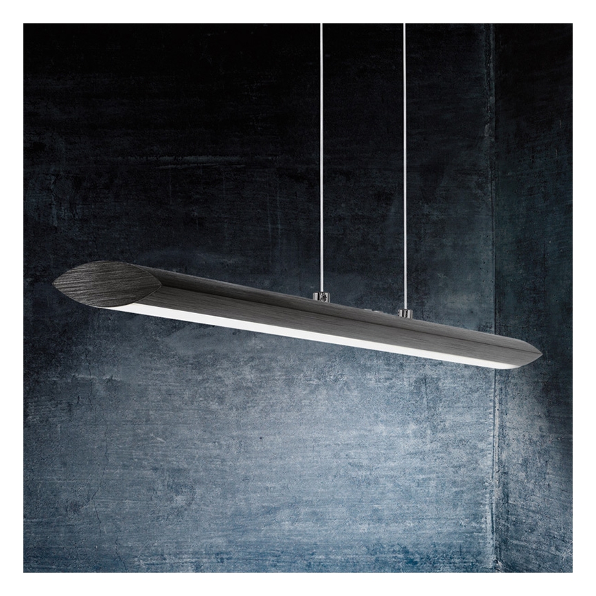 Eglo - LED reguliuojamas šviestuvas ant laido LED/30W/230V