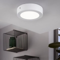 Eglo 94072 - LED lubų šviestuvas FUEVA 1 LED/10,89W/230V skersm. 17 cm