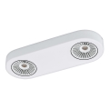 Eglo 94176 - LED akcentinis šviestuvas MONTALE 2xLED/5,4W/230V