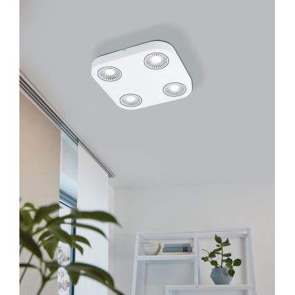 Eglo 94178 - LED akcentinis šviestuvas MONTALE 4xLED/5,4W/230V