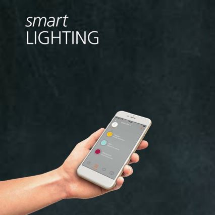 Eglo 95542 - Krištolinis dimeriuojamas lubinis šviestuvas TELLUGIO-S LED/24W/230V