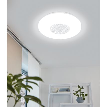 Eglo - LED lubinis šviestuvas LED/24W/230V