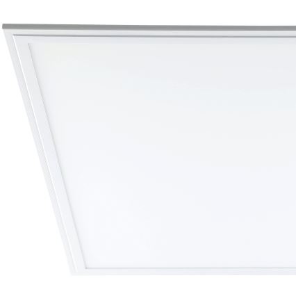 Eglo - LED lubų panelė LED/40W/230V