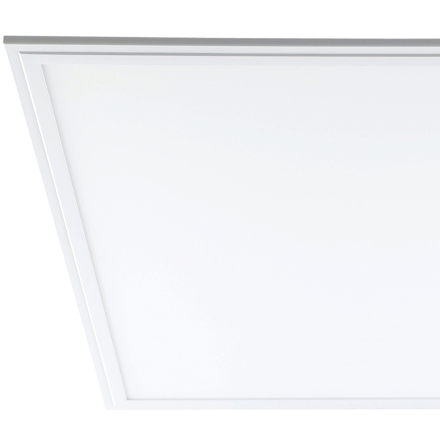 Eglo - LED lubų panelė LED/40W/230V
