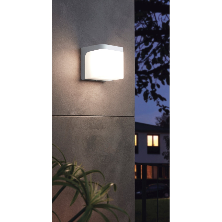 Eglo - LED sieninis lauko šviestuvas LED/4,9W/230V IP44