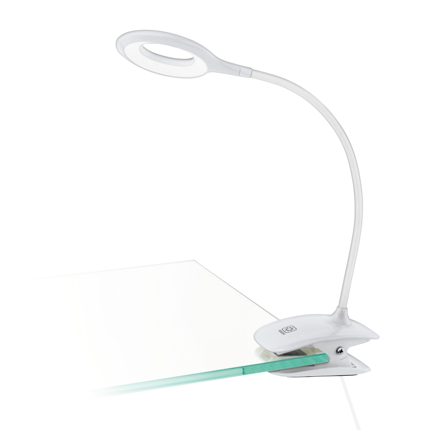 Eglo - LED Pritemdomas šviestuvas su segtuku 1xLED/3W/5V 500 mAh balta