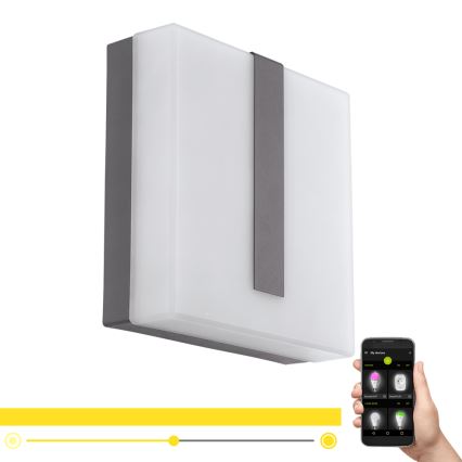 Eglo - LED Reguliuojamas lauko sieninis šviestuvas TORAZZA-C LED/14W/230V IP44