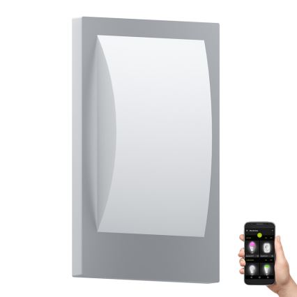 Eglo - LED reguliuojamas lauko sieninis šviestuvas 1xE27/9W/230V IP44 matinio chromo spalvos