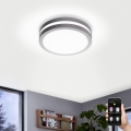 Eglo 97299 - reguliuojamas LED vonios šviestuvas LOCANA-C LED/14W sidabro spalvos IP44