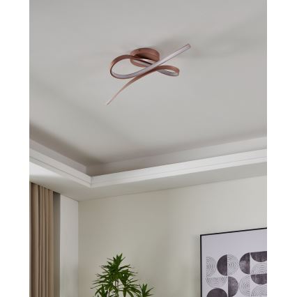 Eglo - LED tvirtinamas sietynas 2xLED/11W/230V