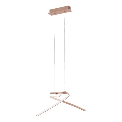 Eglo 97362 - LED sietynas, kabinamas ant virvės PALOZZA 2xLED/11W/230V