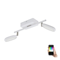 Eglo 97692 - LED RGB Įleidžiamas šviestuvas PALOMBARE-C 2xLED/5W/230V