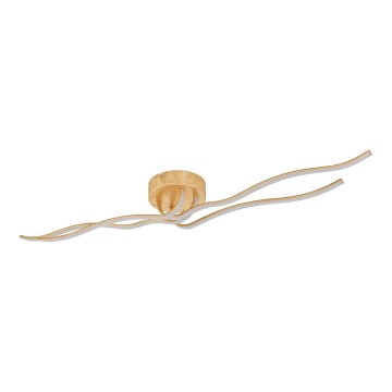 Eglo 97744 - LED lubinė liustra MIRAFLORES 4xLED/9W/230V