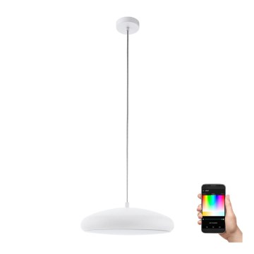 Eglo 98046 - LED RGB reguliuojamas pakabinamas šviestuvas ant laido RIODEVA-C LED/27W/230V