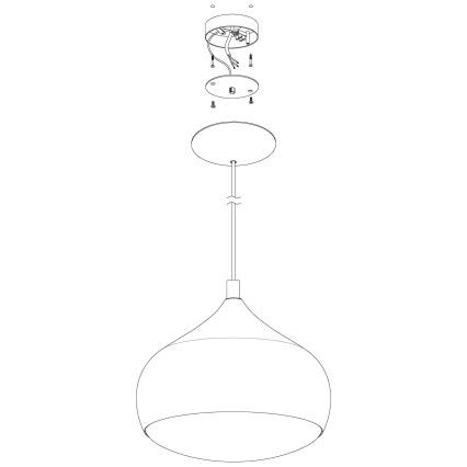 Eglo 98047 - LED RGBW dimeriuojamas kabantis šviestuvas ant laido COMBA-C LED/18W/230V