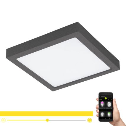 Eglo - LED reguliuojamas lauko šviestuvas ARGOLIS-C LED/22W/230V IP44 Bluetooth