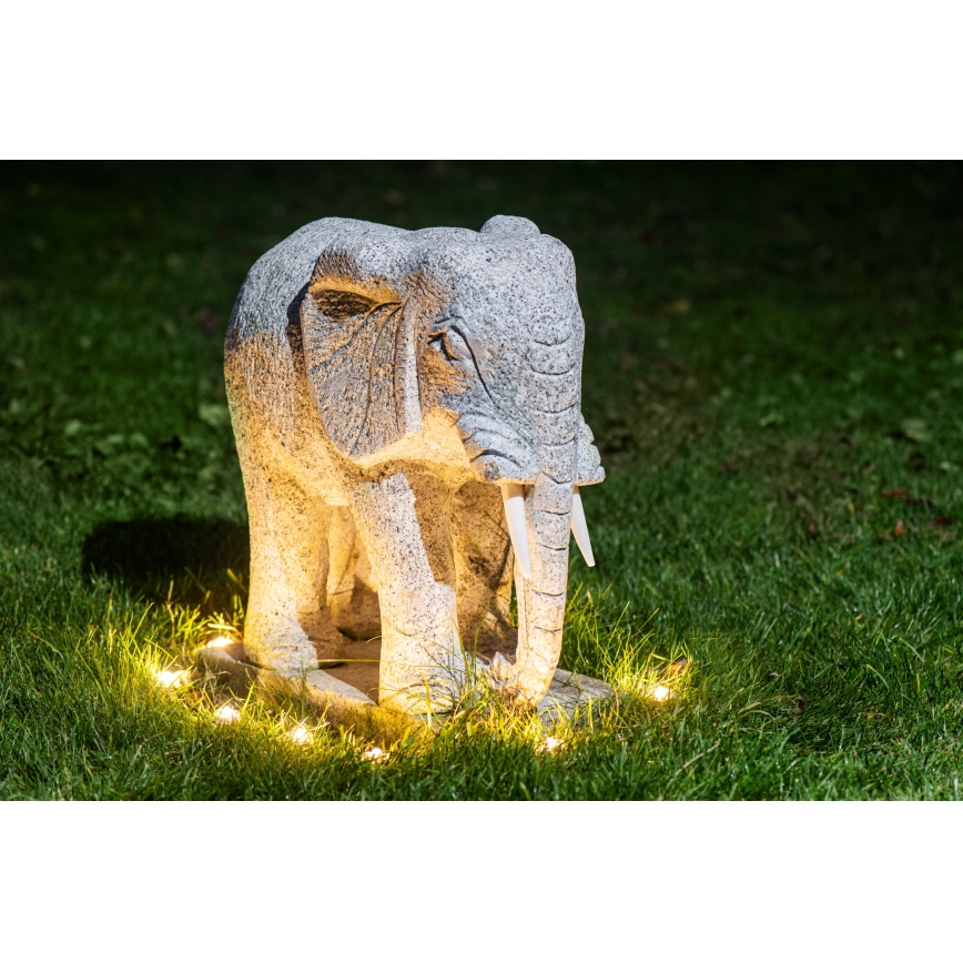 Eglo - LED Dekoratyvinė lauko girlianda 9xLED 10m IP65 šilta balta
