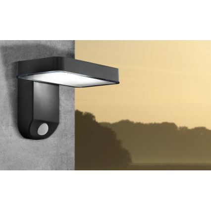 Eglo - LED Napelem falira rögzített lámpa érzékelővel LED/4,5W/3,7V 2200 mAh IP44