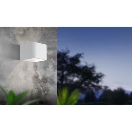 Eglo - LED sieninis lauko šviestuvas LED/6W/230V IP55