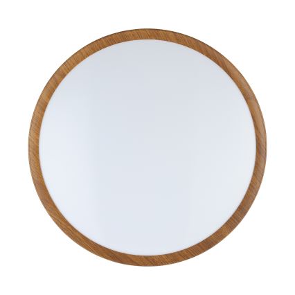Eglo - LED lubinis šviestuvas LED/14,6W/230V