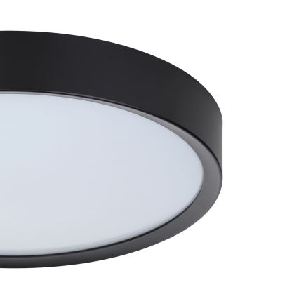 Eglo - LED lubinis šviestuvas LED/16,8W/230V