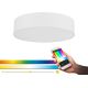 Eglo - LED RGB Reguliuojamas lubinis šviestuvas ROMAO-C LED/33W/230V + VP