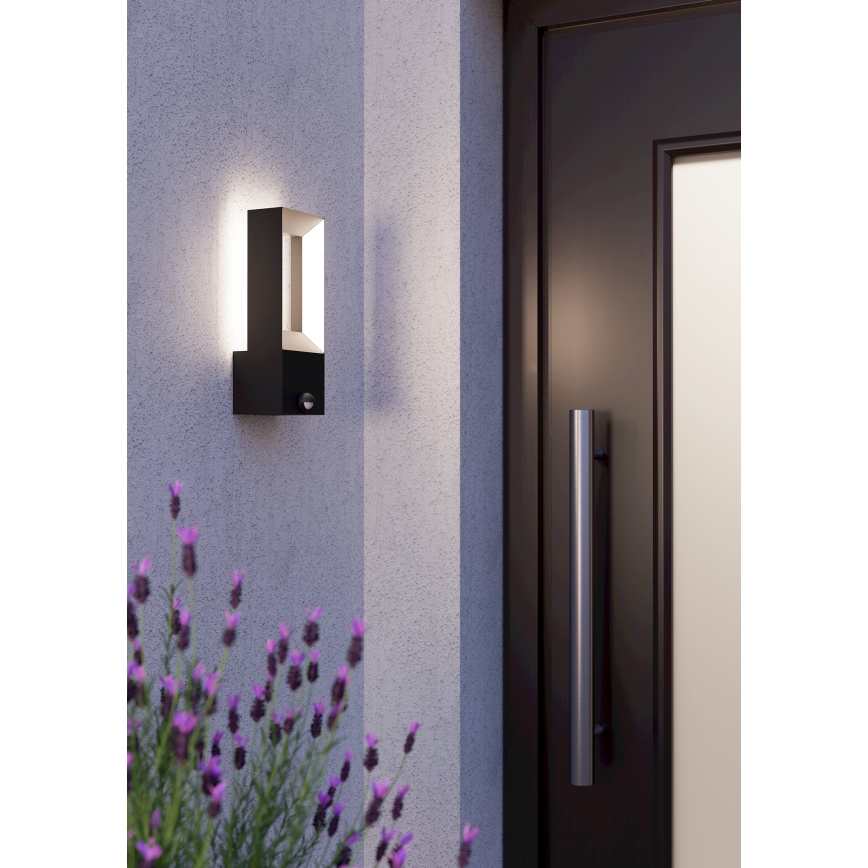 Eglo - LED Lauko šviestuvas su jutikliu 2xLED/5W/230V IP44