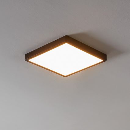 Eglo - LED Dimeriuojamas vonios šviestuvas LED/19,5W/230V IP44 ZigBee 28,5x28,5 cm