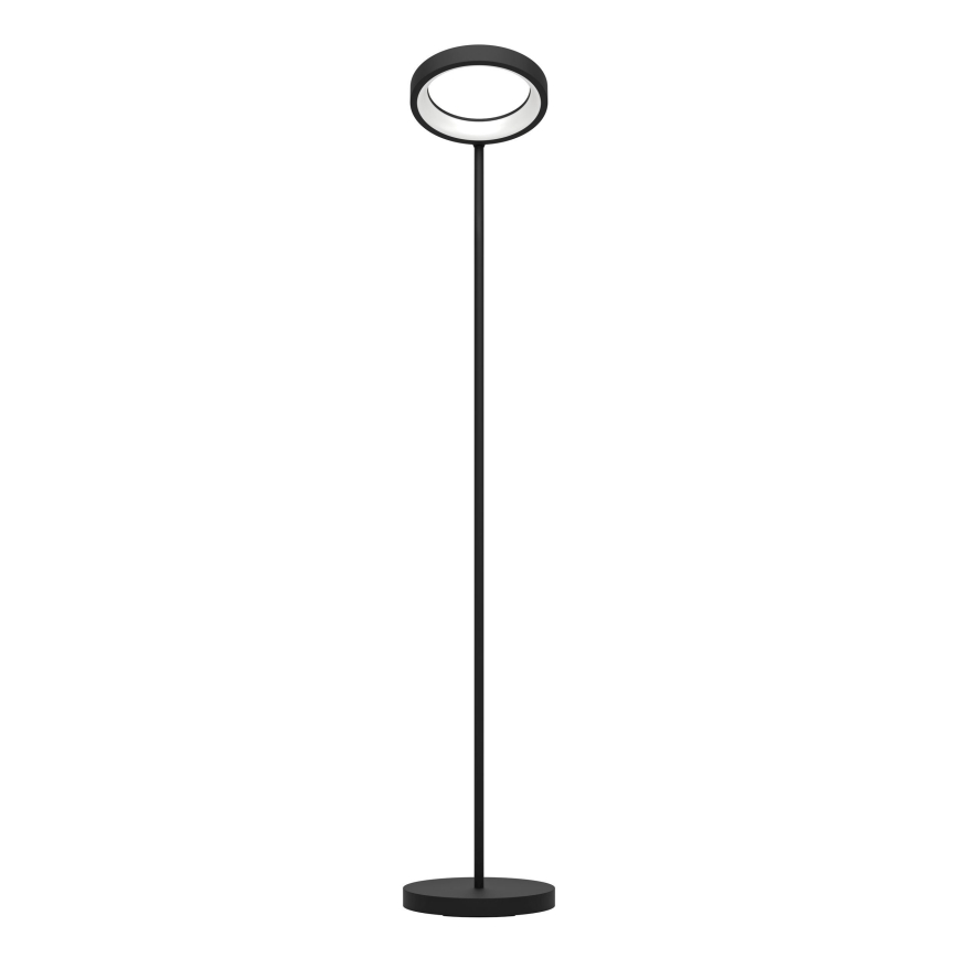 Eglo - LED RGB Reguliuojamas toršeras MARGHERA-C LED/16W/230V