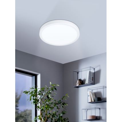 Eglo - LED Lubinis vonios šviestuvas LED/20W/230V IP44